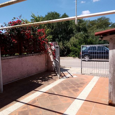 Villa Sa Minda Noa 2 Camere 2 Bagni Aria Condizionata E Giardino Olbia Luaran gambar